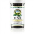 FCS II